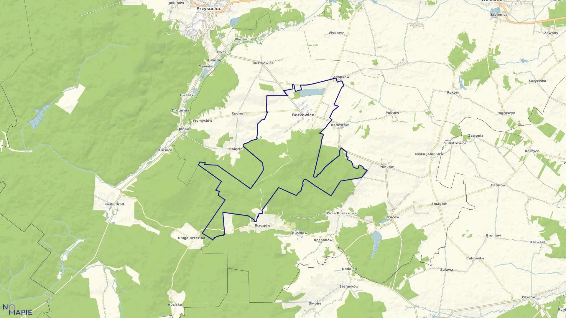 Mapa obrębu BORKOWICE w gminie Borkowice